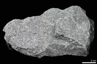 藏品(石英岩)的圖片