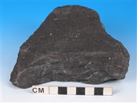 藏品(硬頁岩)的圖片