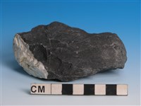 藏品(硬頁岩)的圖片