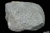 藏品(石英岩)的圖片