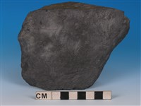 藏品(硬頁岩)的圖片