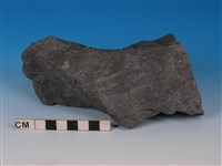 藏品(硬頁岩)的圖片