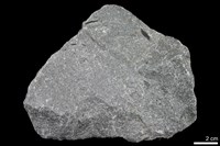 藏品(石英岩)的圖片