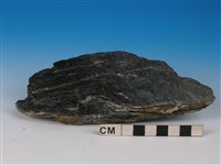 藏品(黑色片岩)的圖片