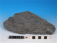 藏品(黑色片岩)的圖片