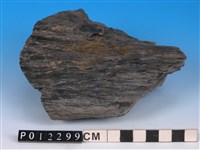 藏品(黑色片岩)的圖片