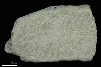 藏品(變質砂岩)的圖片