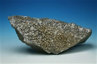 藏品(石膏)的圖片