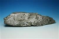 藏品(石膏)的圖片