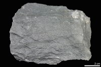 藏品(變質砂岩)的圖片