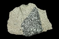 藏品(安山岩)的圖片