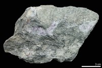 藏品(大理岩)的圖片