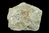 藏品(角閃石安山岩)的圖片