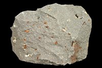 藏品(矽質玄武岩)的圖片