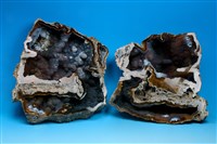 藏品(瑪瑙 )的圖片