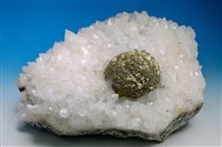 藏品(黃銅礦/黃鐵礦 )的圖片