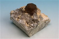 藏品(板鈦礦 )的圖片