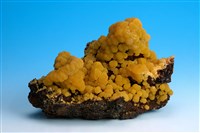 藏品(砷鉛礦 )的圖片