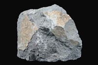 藏品(安山岩)的圖片