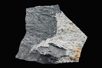 藏品(凝灰岩)的圖片