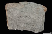 藏品(變質砂岩)的圖片