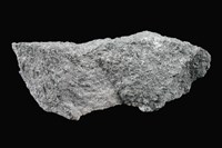 藏品(輝石安山岩)的圖片
