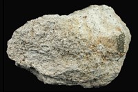 藏品(角閃石安山岩)的圖片