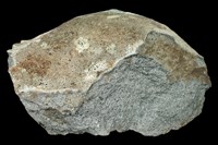 藏品(輝石安山岩)的圖片