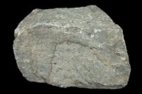 藏品(角閃安山岩)的圖片