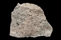 藏品(角閃安山岩)的圖片