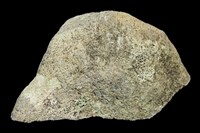 藏品(玄武安山岩)的圖片