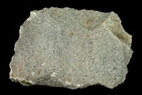 藏品(角閃安山岩)的圖片