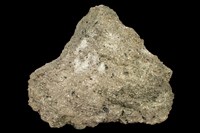 藏品(安山岩)的圖片