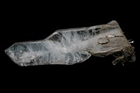 藏品(縫合水晶)的圖片