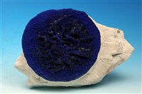 藏品(藍銅礦 )的圖片