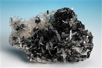 藏品(鎢錳礦 )的圖片