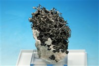 藏品(銻銀礦 )的圖片