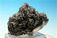 藏品(銻銀礦 )的圖片