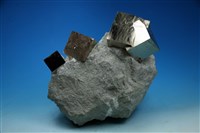 藏品(黃鐵礦 )的圖片