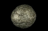 藏品(黃鐵礦 )的圖片