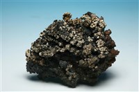 藏品(自然銀)的圖片