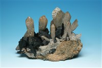 藏品(黑柱石)的圖片