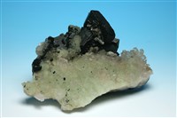 藏品(矽鐵輝石 )的圖片