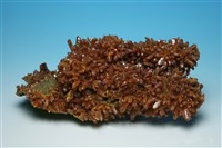 藏品(雌黃 )的圖片