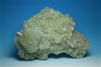 藏品(矽硼鈣石 )的圖片