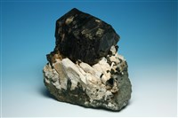 藏品(金雲母 )的圖片