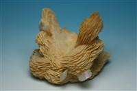 藏品(方解石 )的圖片