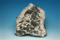 藏品(塊黑鉛礦 )的圖片