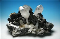 藏品(黑鎢礦)的圖片