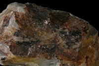 藏品(易解石)的圖片